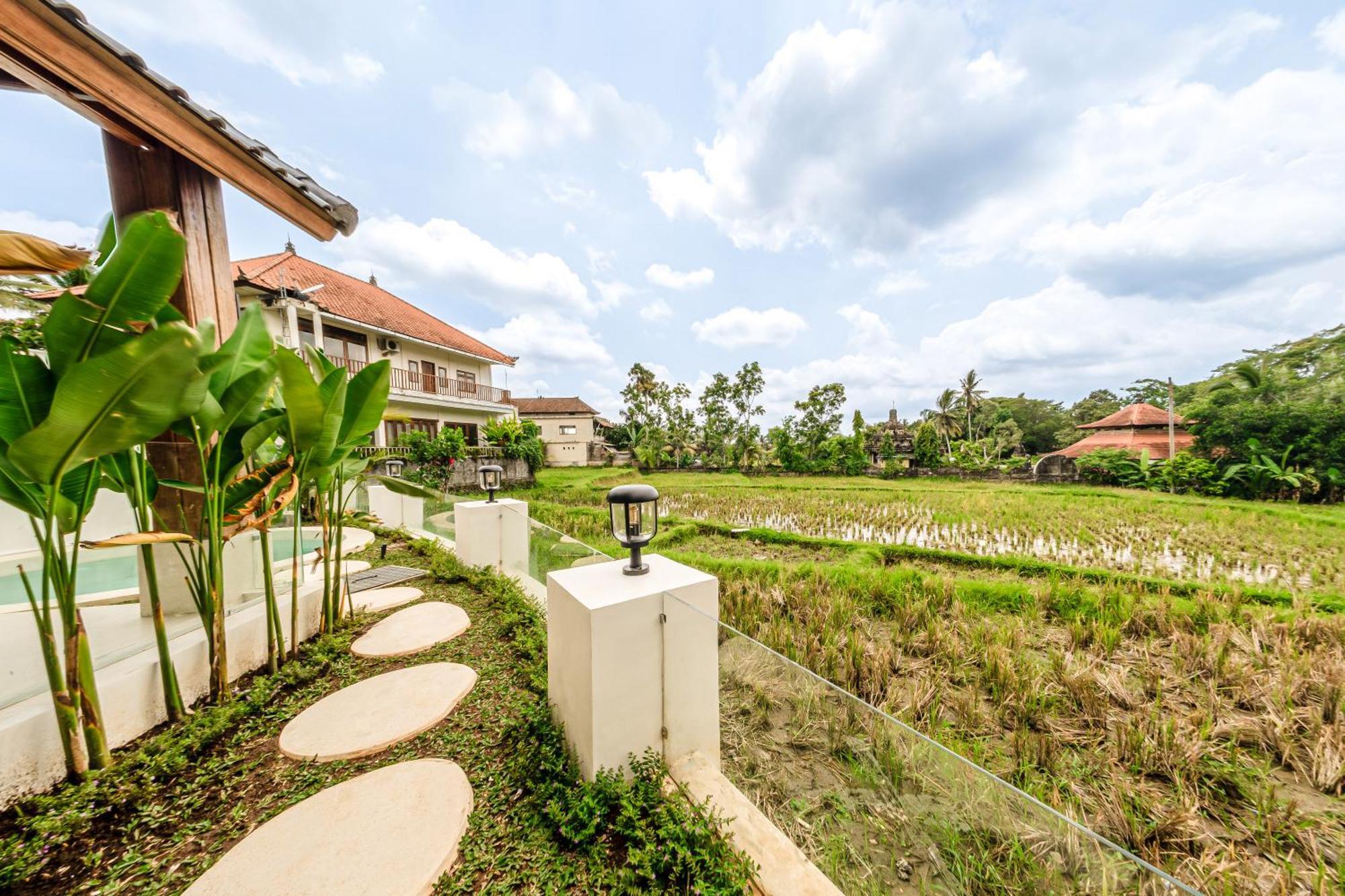 Sarang Apartments By Evdekimi Ubud Стая снимка